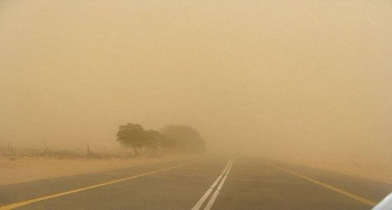 النقل تحذر مرتادي طريق ” المدينة / ينبع ” من عاصفة ترابية