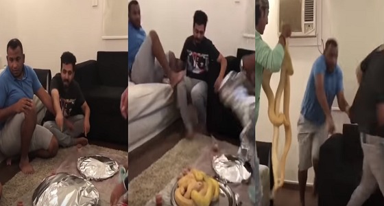 بالفيديو.. مشاهد مرعبة لمزاح بالثعابين عرض حياة أحد الأشخاص للخطر