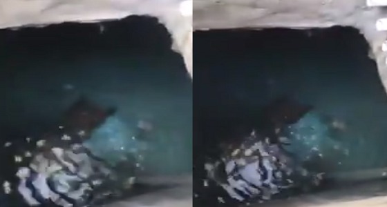 بالفيديو.. مواطن يجمع مياه تصريف المكيفات في خزان إضافي