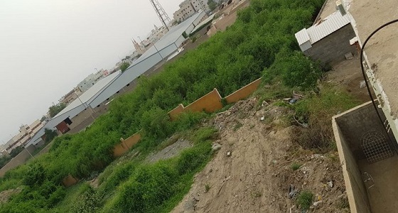 أهالي حي الشهيد بمحايل يعيشون حالة رعب بسبب الثعابين