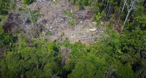 بالفيديو.. طائرة ” درون ” تكتشف قبيلة منعزلة عن العالم الخارجي