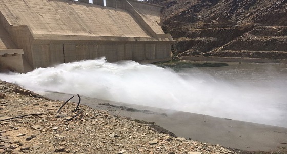 بالفيديو والصور.. لحظة فتح بوابة ثاني أكبر سد مائي بالمملكة