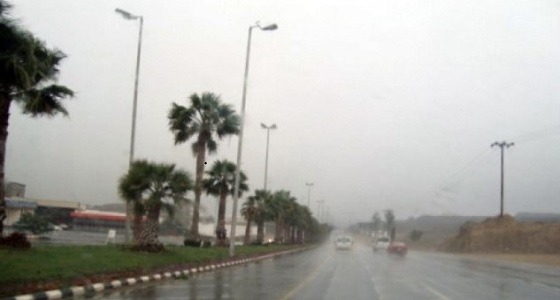 أمطار غزيرة وزخات برد على عسير