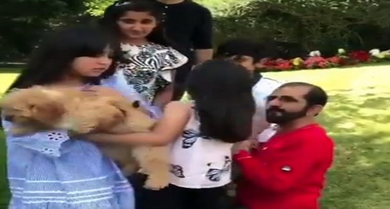 بالفيديو.. لقطة عفوية للشيخ محمد بن راشد وهو يداعب أحفاده