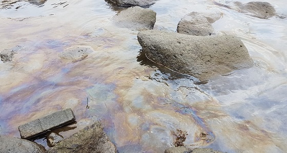 بالصور.. تسرب مادة بترولية على الكورنيش الشمالي بجازان