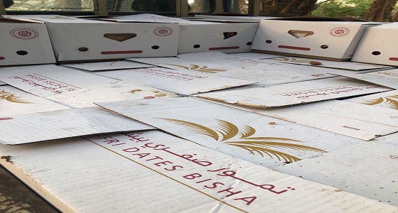 تذمر واستياء من إدارة مهرجان صفري بيشة