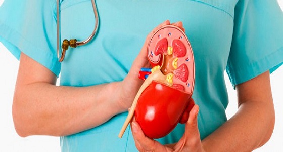 بالفيديو.. علامات تدل على الإصابة بمشكلات في الكلى وطرق مواجهتها