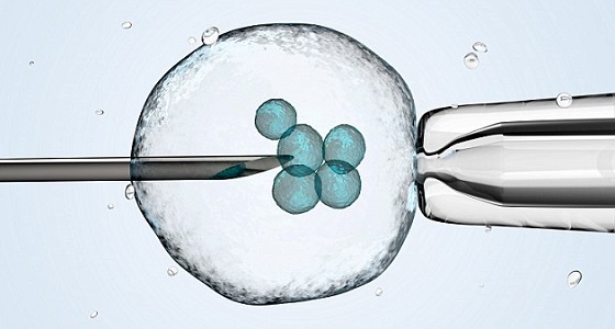 أسلوب جديد للتلقيح الصناعي يعزز نسبة نجاحه بنسبة 62%