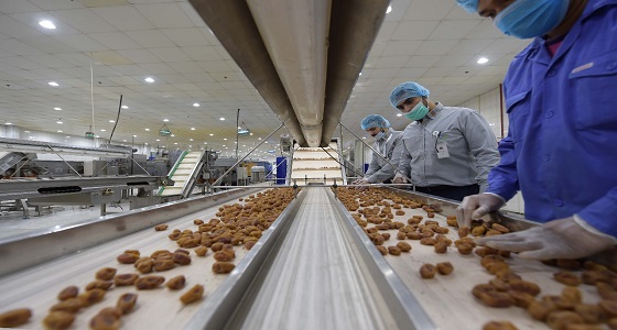 الغذاء والدواء: خلو منتجات تمور المدينة المنورة من بقايا المبيدات