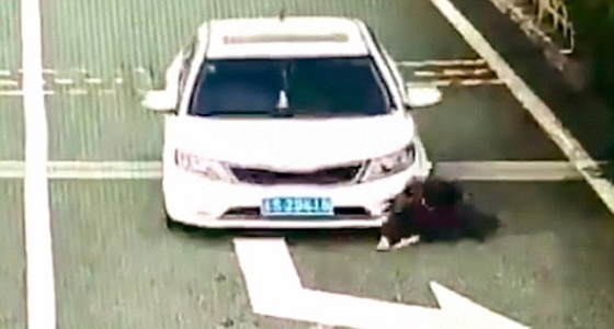 بالصور.. محاولة احتيال تتسبب في جروح خطيرة لمنفذتها