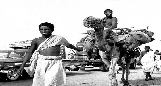 يحملون زادهم و ” أكفانهم ” .. كيف كان الحج قديما؟