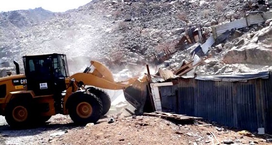 بلدية المعابدة تزيل حظائر أغنام عشوائية مخالفة بمكة المكرمة