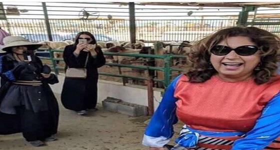 بالفيديو.. القنصل الأمريكي بـ ” ظهران ” تشتري أضحية لذبحها بعيد الأضحى