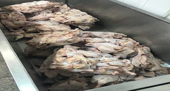 مصادرة وإتلاف عدد 600 دجاجة منتهية الصلاحية