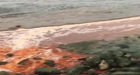 بالصور.. ظهور بقعة حمراء بكورنيش &#8221; سيهات &#8221; ومطالبة بمراقبة شبكات الصرف