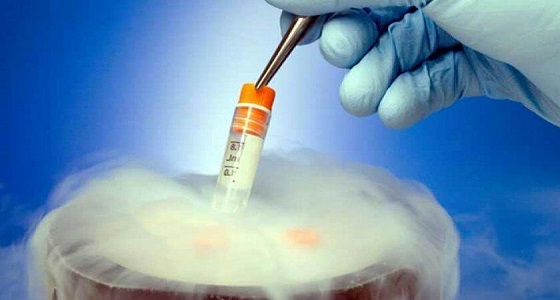 الافتاء المصرية توضح حكم وضع البويضة المخصبة في رحم الزوجة بعد وفاة زوجها