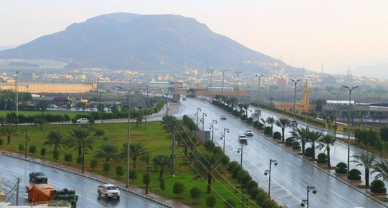 الإطاحة بمواطن كفيف ومقيم متلبسين يروجان للمخدرات