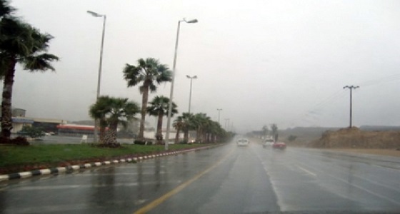 أمطار غزيرة على مدينة أبها وضواحيها