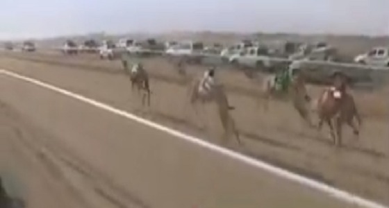 أسماء الفائزين في الفترة المسائية لسباقات اليوم بمهرجان ولي العهد للهجن