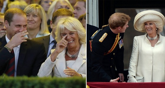 الكشف عن الوجه الأخر لـ كاميلا وعلاقتها بـ ” وليام وهاري “