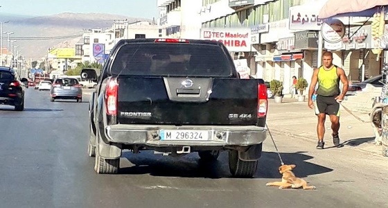 تجرد من الإنسانية.. سائق يسحل كلبا بطريقة بشعة