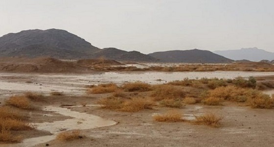 بالصور.. أمطار على مراكز الشبحة بمحافظة أملج