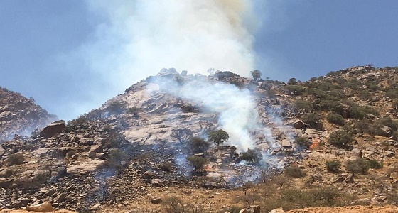 بالصور.. انتشار النيران في غابات البلس بخثعم عسير