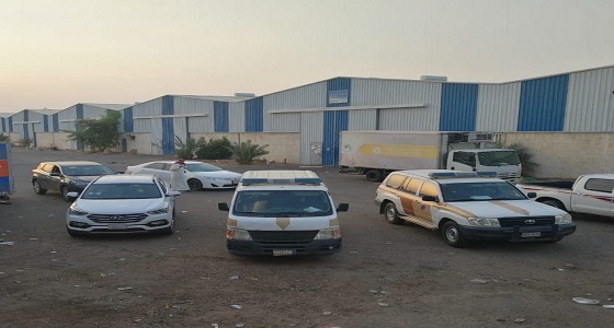 ضبط عددا من مخالفي نظام الإقامة والعمل وأمن الحدود بتبوك