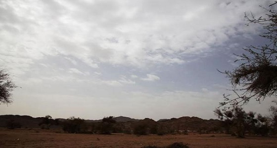 الأرصاد تصدر تنبيهين لسكان الرياض وحائل
