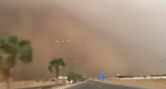 بالفيديو.. لحظات هبوب الرياح وهطول الأمطار على جازان