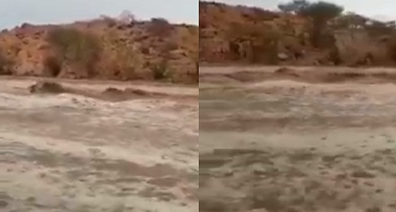 بالفيديو.. سيول قوية في وادي دفاق جنوب شرق مكة المكرمة