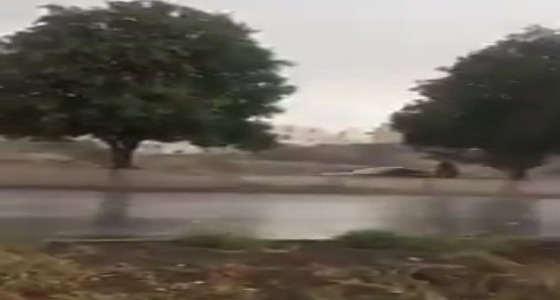 بالفيديو..هطول أمطار غزيرة على الطائف