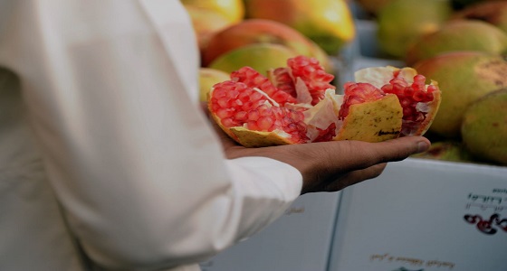 350 ألف شجرة رمان بمزارع الباحة تنتج أكثر من 24 ألف طن من فاكهة الرمان سنويا