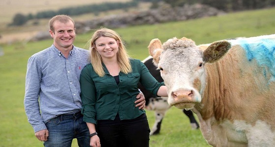 بالصور… شاب يستعين بـ ” بقرة ” ليطلب الزواج من فتاة