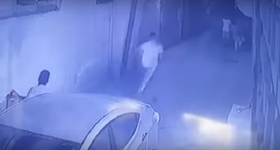 بالفيديو.. 3 جناة يسرقون وافدا تحت تهديد السلاح في حي شعبي بجدة