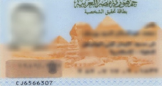 لأول مرة في مصر.. دعوى قضائية للمطالبة بإدراج اسم الأم في البطاقة