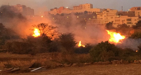بالصور.. حريق هائل في مجموعة أشجار في قرية المصرخ بالباحة