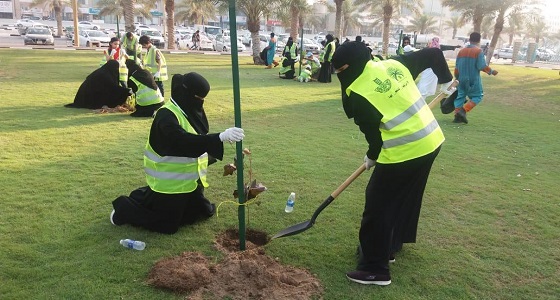 بالصور.. 3665 شجرة تم غرسها في 20 موقع بمشاركة 1000 متطوع ومتطوعة