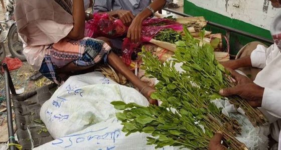 شاب يرفض إعطاء القات لقيادي حوثي فكان مصيره 5 طلقات رصاص