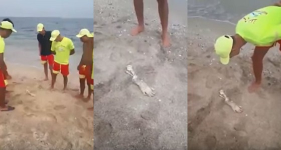 بالفيديو.. شاطئ بالمغرب يلفظ يد إنسان