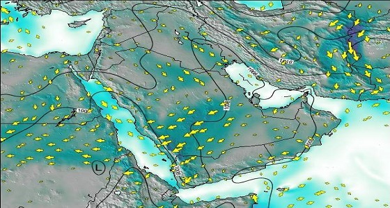 علي الحربي: شتاء مبكر هذا العام بكلًا من ” عسير ونجران “