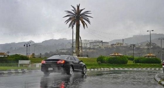 الأرصاد تحذر من هطول الأمطار الرعدية على حائل