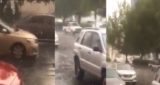 بالفيديو.. القوبعية تكتسي باللون الأبيض بعد تساقط كثيف للبرد