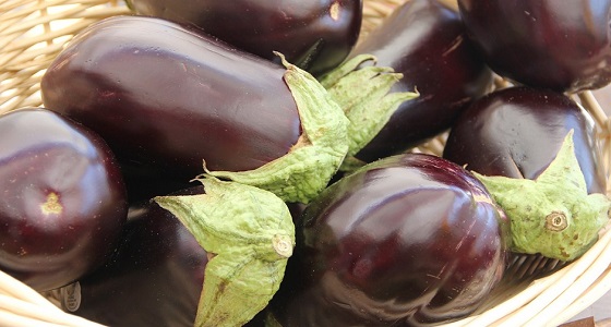 ” الباذنجان ” غذاء خارق ودرع ضد السرطان وأمراض القلب