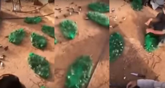 بالفيديو.. مشاهد صادمة لاصطياد وذبح الطيور بطريقة عشوائية