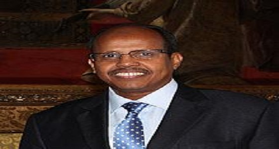 وزير خارجية جيبوتي يؤكد دور المملكة في حل أزمة بلاده