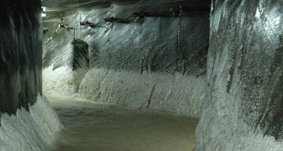 تفاصيل مطالبة النيابة العامة بسجن مواطن 5 سنوات ومعاقبته تعزيريا