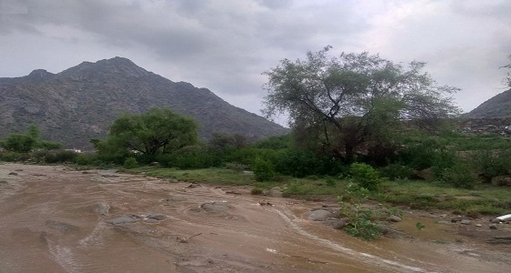أمطار على محافظة بارق