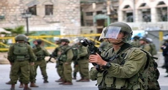 القوات الإسرائيلية تعتقل 12 فلسطينيا بمحافظة طولكرم
