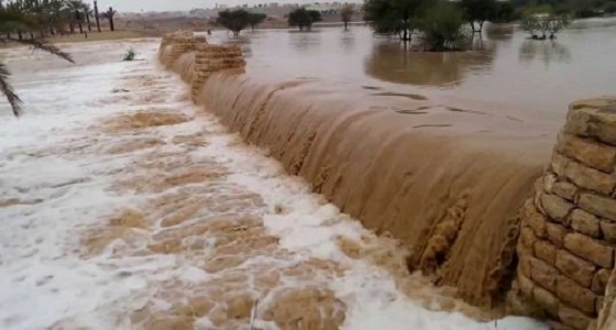 بالفيديو والصور..  18 قتيلا ومصابين جراء سيول البحر الميت في الأردن